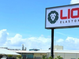 Lion completes acquisition of Firestone SR plant