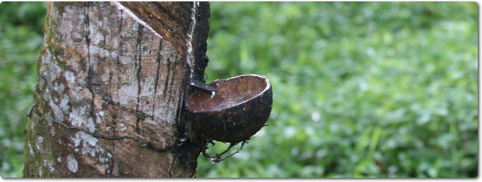 Rubber Manufacturing Plant Starts Operation In Liberia | European ...