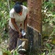 New IRCo leader foresees natural rubber shortage