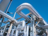 Shangwei Healthcare to build rubber gloves plant