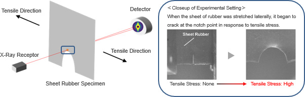 Using small-angle x-ray scattering to measure internal rubber density at the point of the notch in the sheet specimen of synthetic rubber, SRI found that the density of the rubber nearer to the notch was lower than the rubber in areas farther away from the notch. This suggested that many voids were forming within the rubber near the notch point. These results indicate that, when sheet rubber is stretched laterally (i.e. in the planar direction), voids exist at the point where the rubber tears.