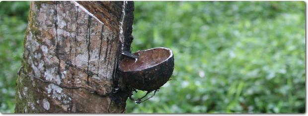 Natural rubber producers to cut exports