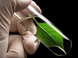 Birla claims breakthrough in bio-based rubber additives