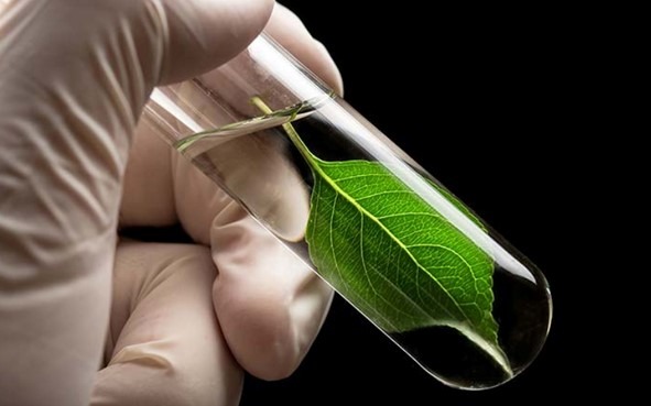 Birla claims breakthrough in bio-based rubber additives