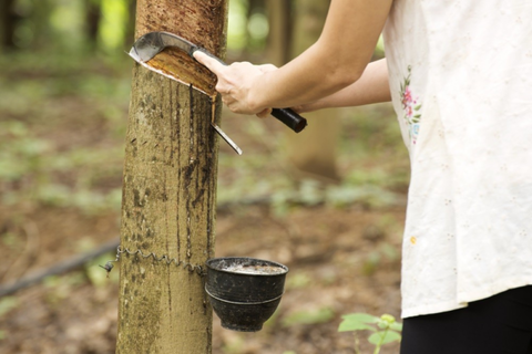 Thailand, India scale back rubber production outlook 