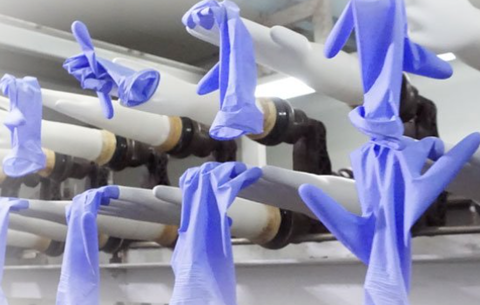 Sri Trang Gloves starts major capacity expansion 