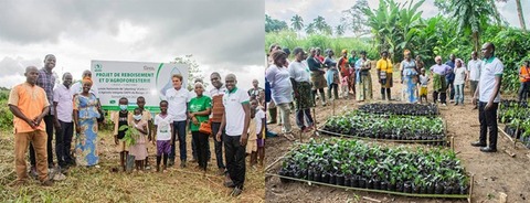 Agrobusiness group SIFCA restores 1.17 hectares of land in Côte d ...