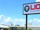 Lion Elastomers seeking new leader after CEO resigns